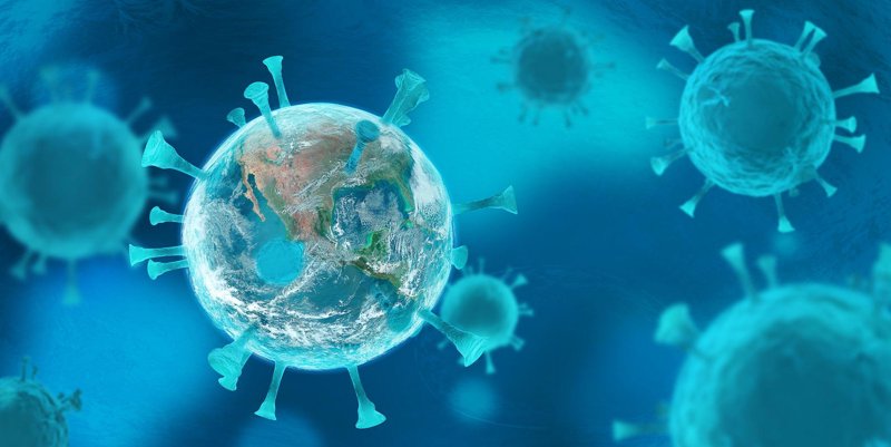生物研发