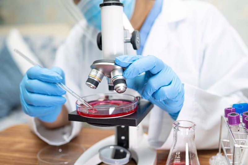 生物技术:解锁生命科技大门的金钥匙
